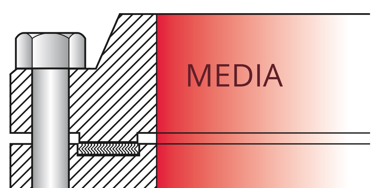 Spiral Wound for LTG (Large Tongue Groove) Flanges Phelps Industrial