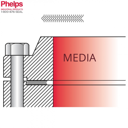 Phelps Style 9001 - Spiral Wound Gasket for Large Male Female Flange